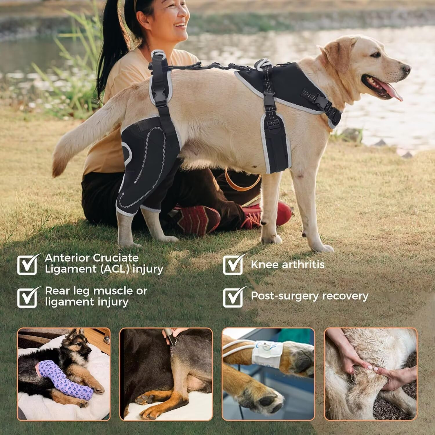 Adjustable Knee Brace for Dogs Back Leg, Hinged Dog Knee Brace for Torn ACL Hind