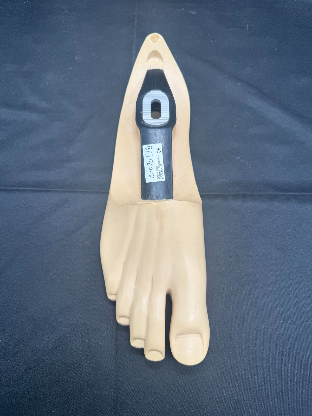 Endolite Blatchford Multiflex Right Size 30 Prosthetic Foot.