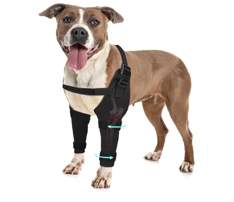 Pawfun Dog Elbow Protector Brace, Dog Leg Sleeves XXL