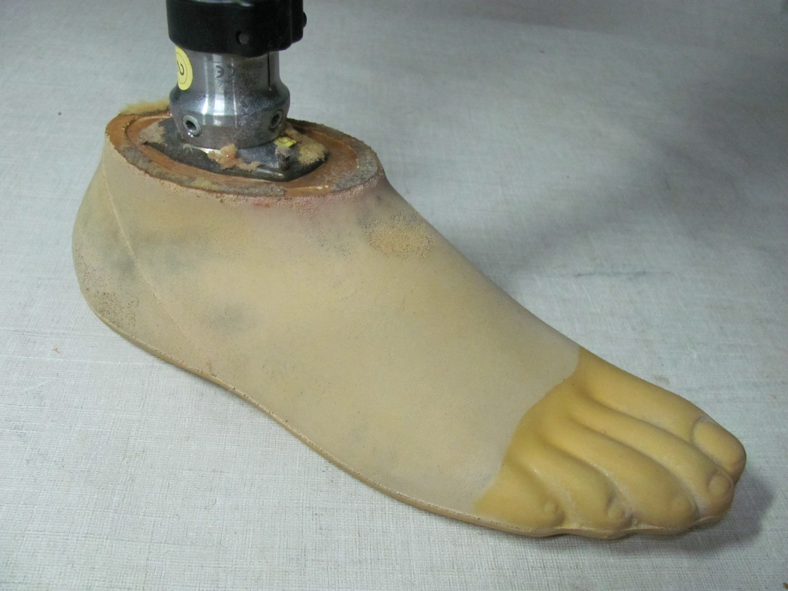 OTTO BOCK TITAN 4R52 HARDWARE PROSTHETIC LEG RIGHT BELOW-KNEE KINGSLEY FLATTIE