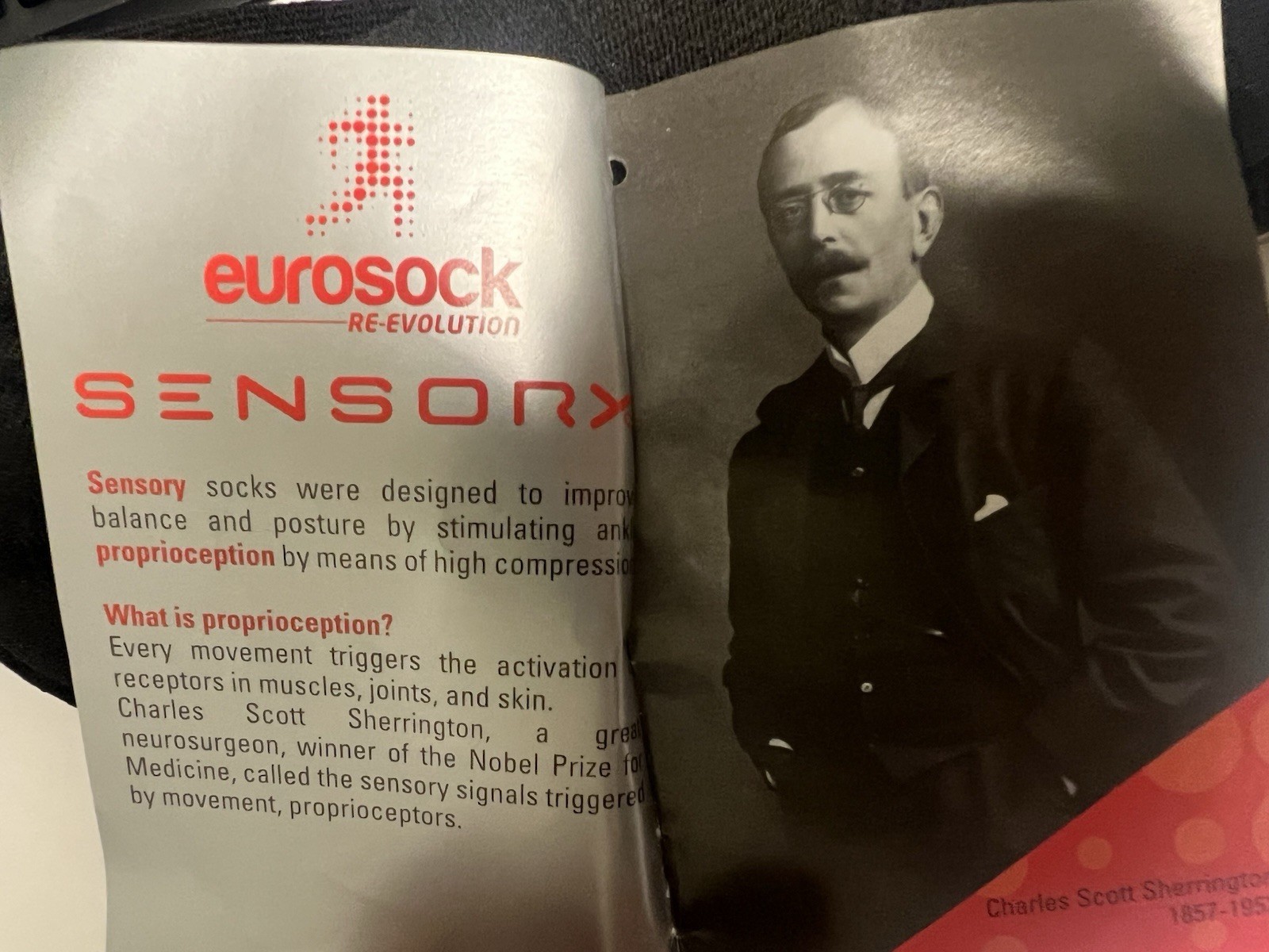 eurosock SENSORX Ankle Support Proprioceptive Control Over The Calf Large