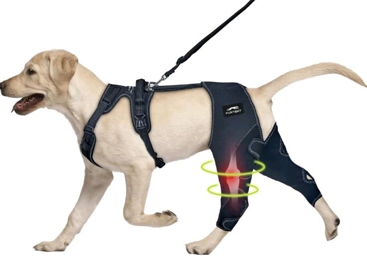XXL Dbl-knee Support Brace Sleeves No Metal Brackets W Replacement Large Harness