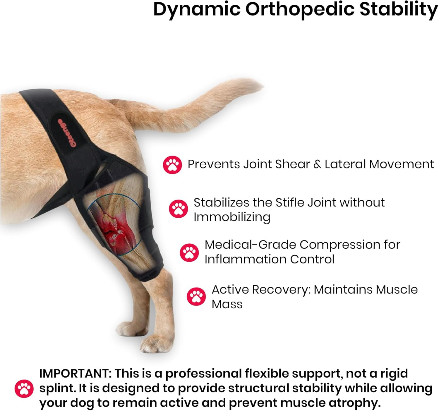 Dog Knee Brace for Torn ACL Hind Leg Dog Knee Braces for Back Leg Torn ACL Knee