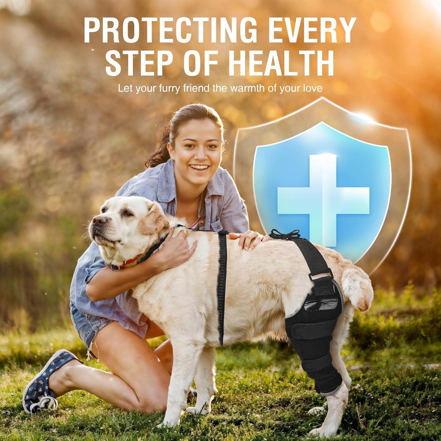Large Dog Brace for Back Leg for Support – Breathable Adjustable Dog ACL Knee Br