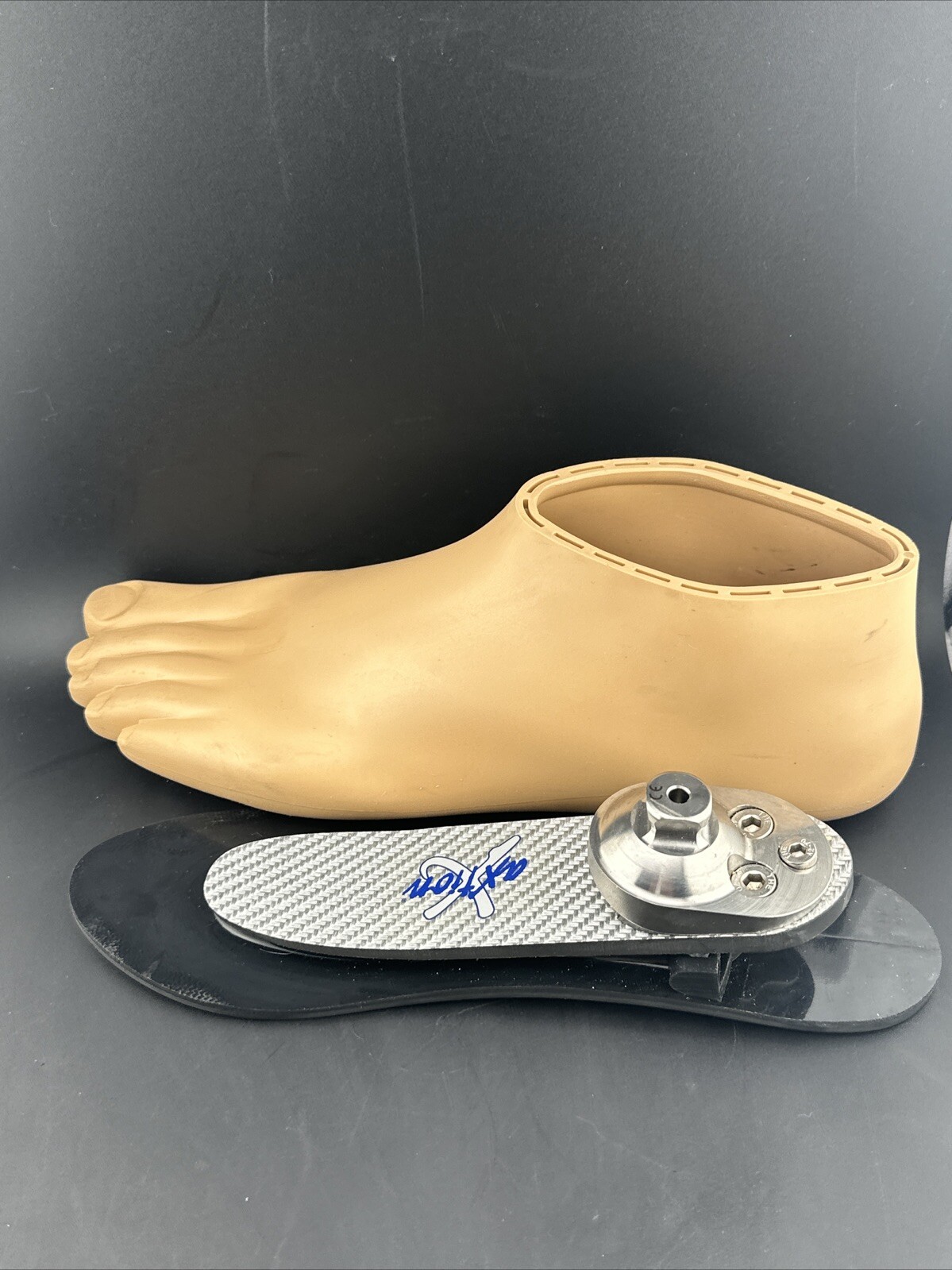 Otto Bock OTTOBOCK Axtion Prosthetic Foot Left Sz 29 Cat 5 Perfect Cond 1e56