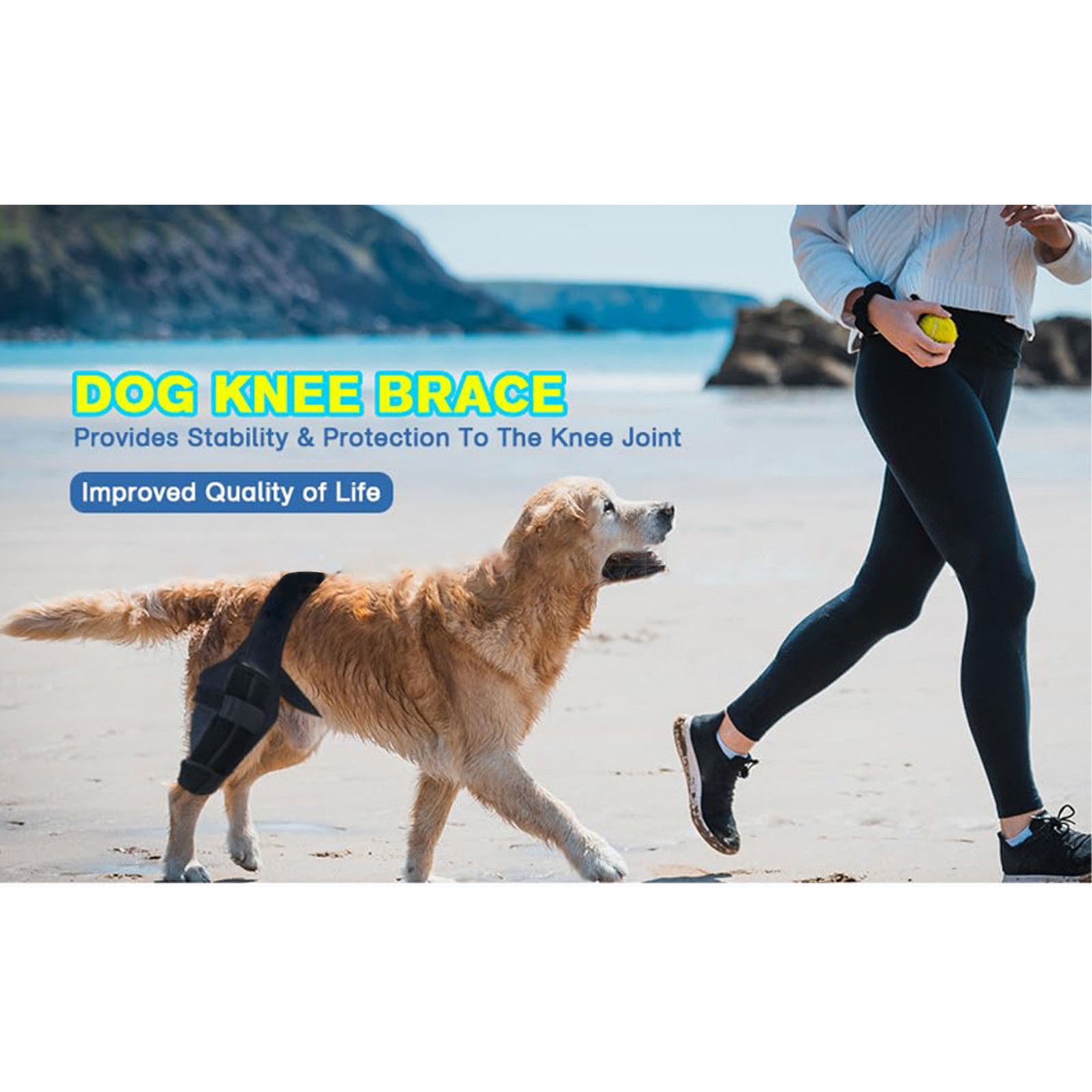 Dog Knee Brace Adjustable Back Strap Dog Hind Leg ACL Brace For CCL