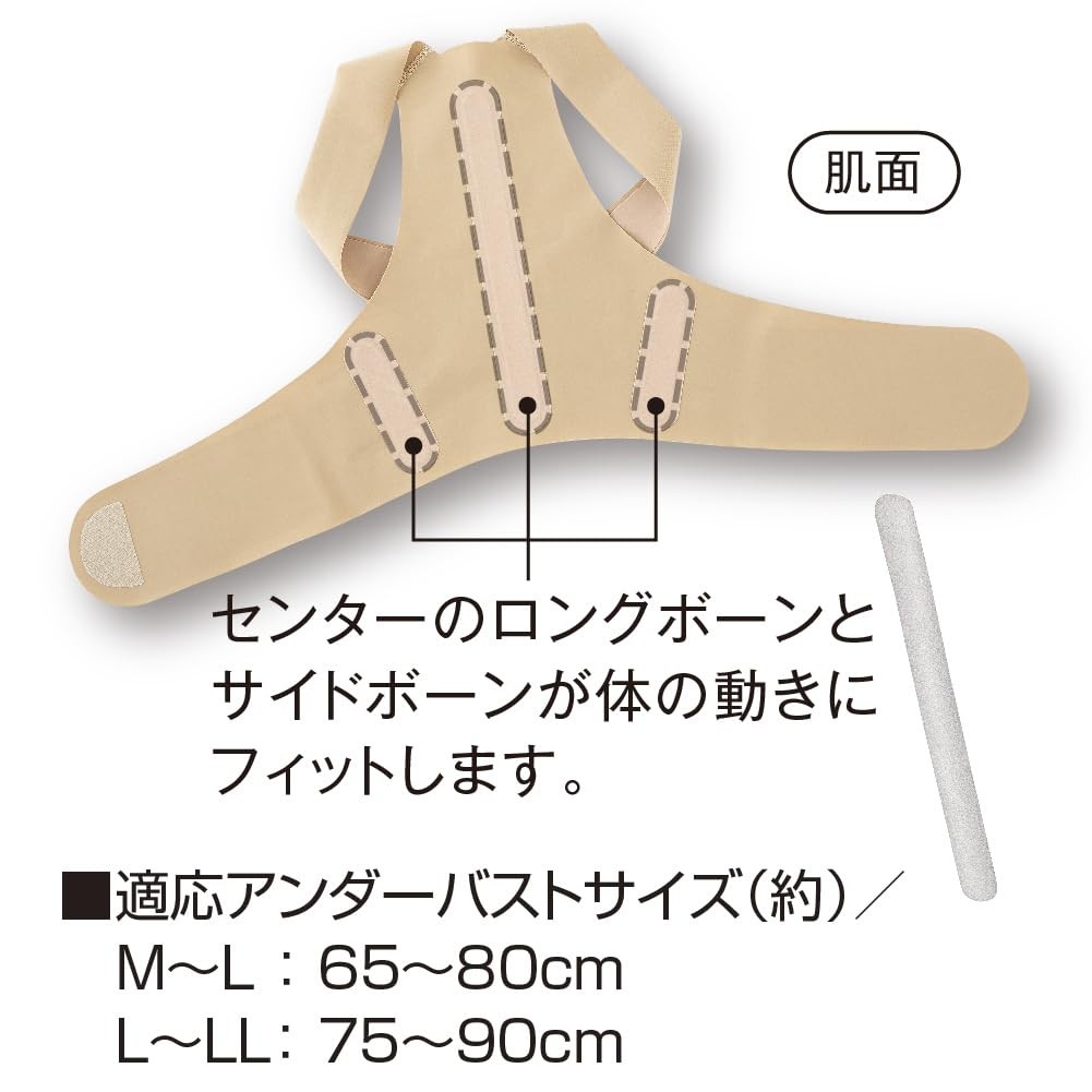 alfax Posture Belt, Core Posture Supporter, Pita Skin, L-LL