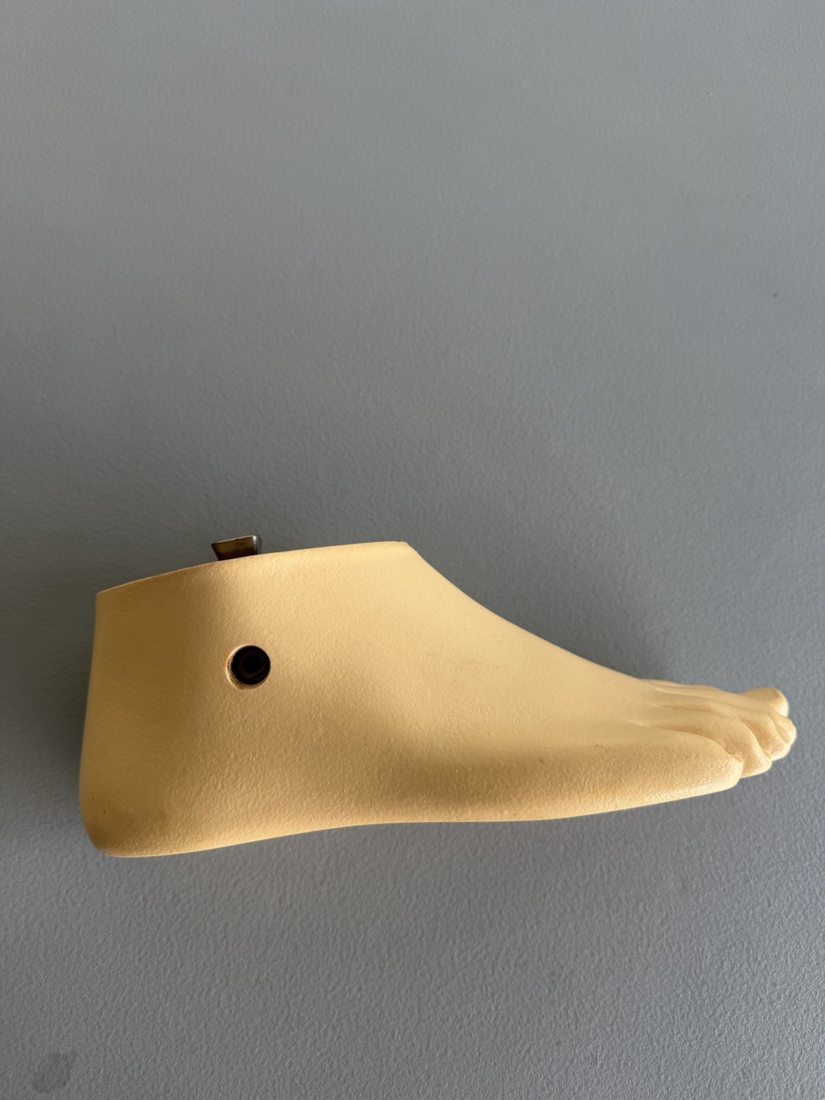 OTTOBOCK Otto Bock Right Prosthetic Foot. Size 25cm