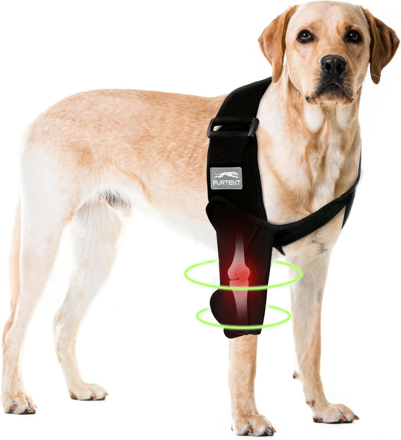 Dog Elbow Protector, Pet Recovery Suit Taper Collar Alternative for L, Black