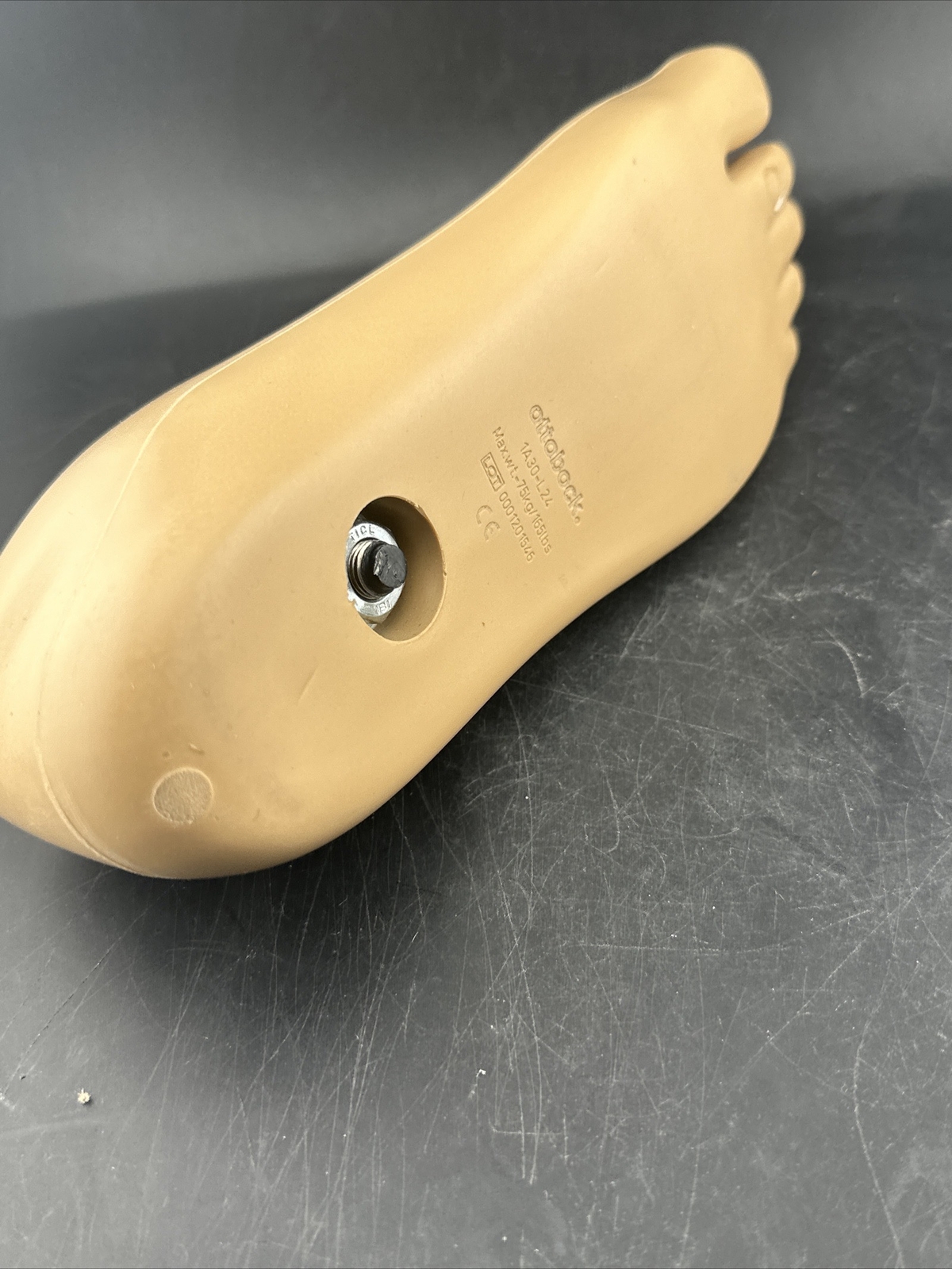OTTOBOCK Otto Bock Greissinger Prosthetic Foot. Left Size 24 1A30 Perfect