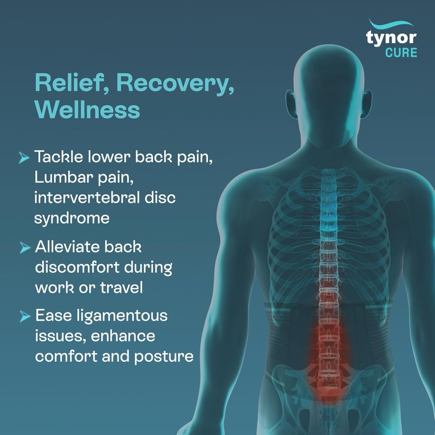 TYNOR Back Brace for Lower Back Pain – Back Support Belt for Women & Men – Br…