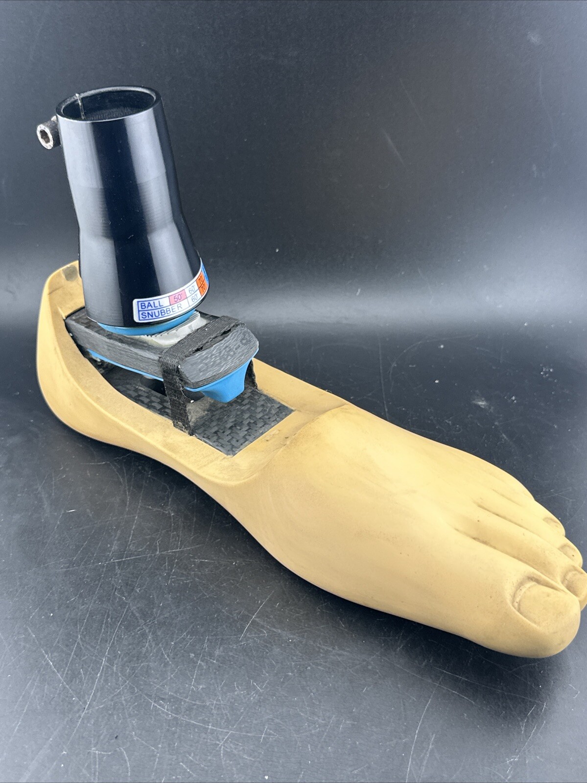Endolite Blatchford Multiflex Multi Flex Size 28 DR-2 Prosthetic Foot.