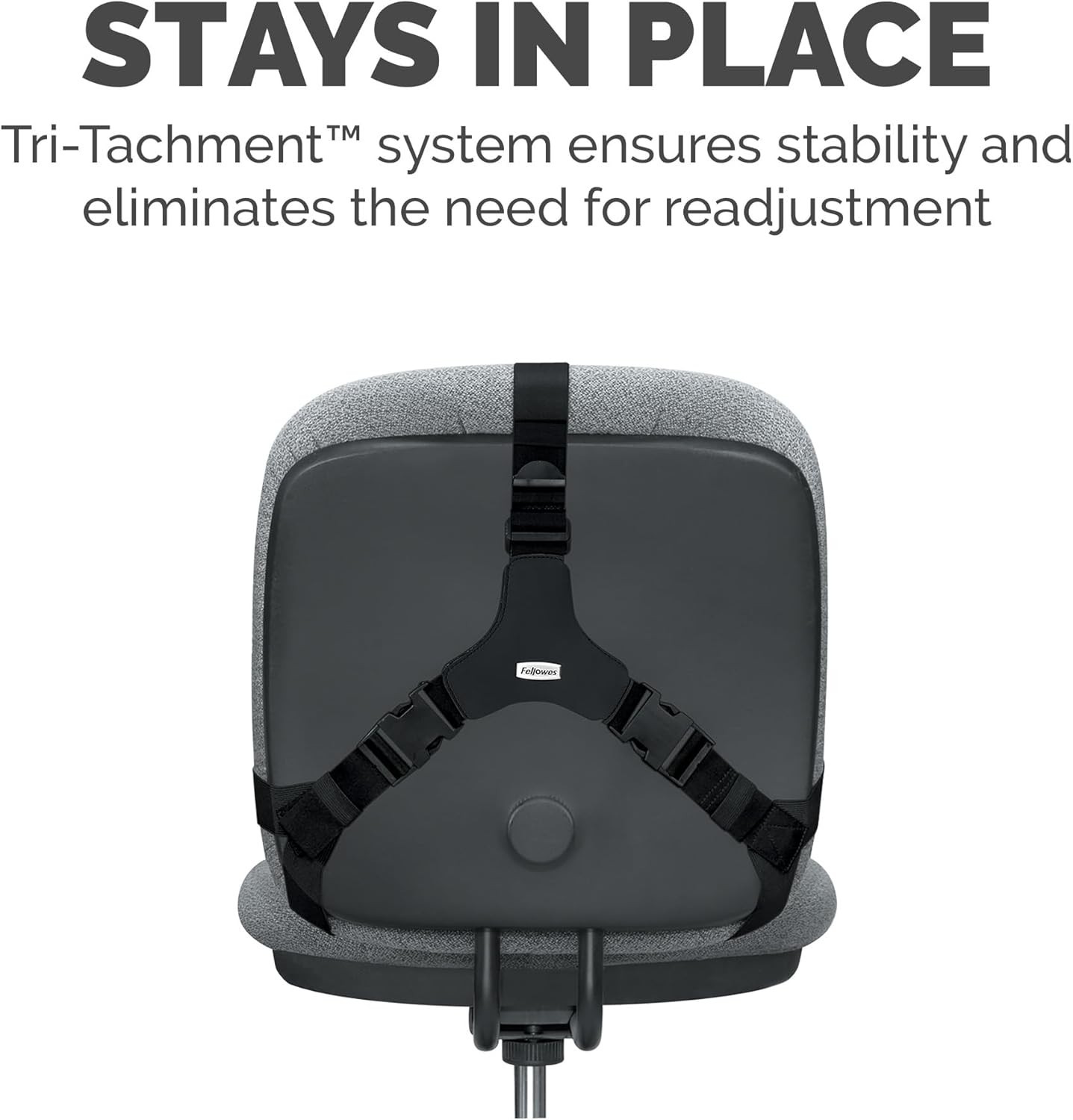 Professional Series Back Support, Black 8037601