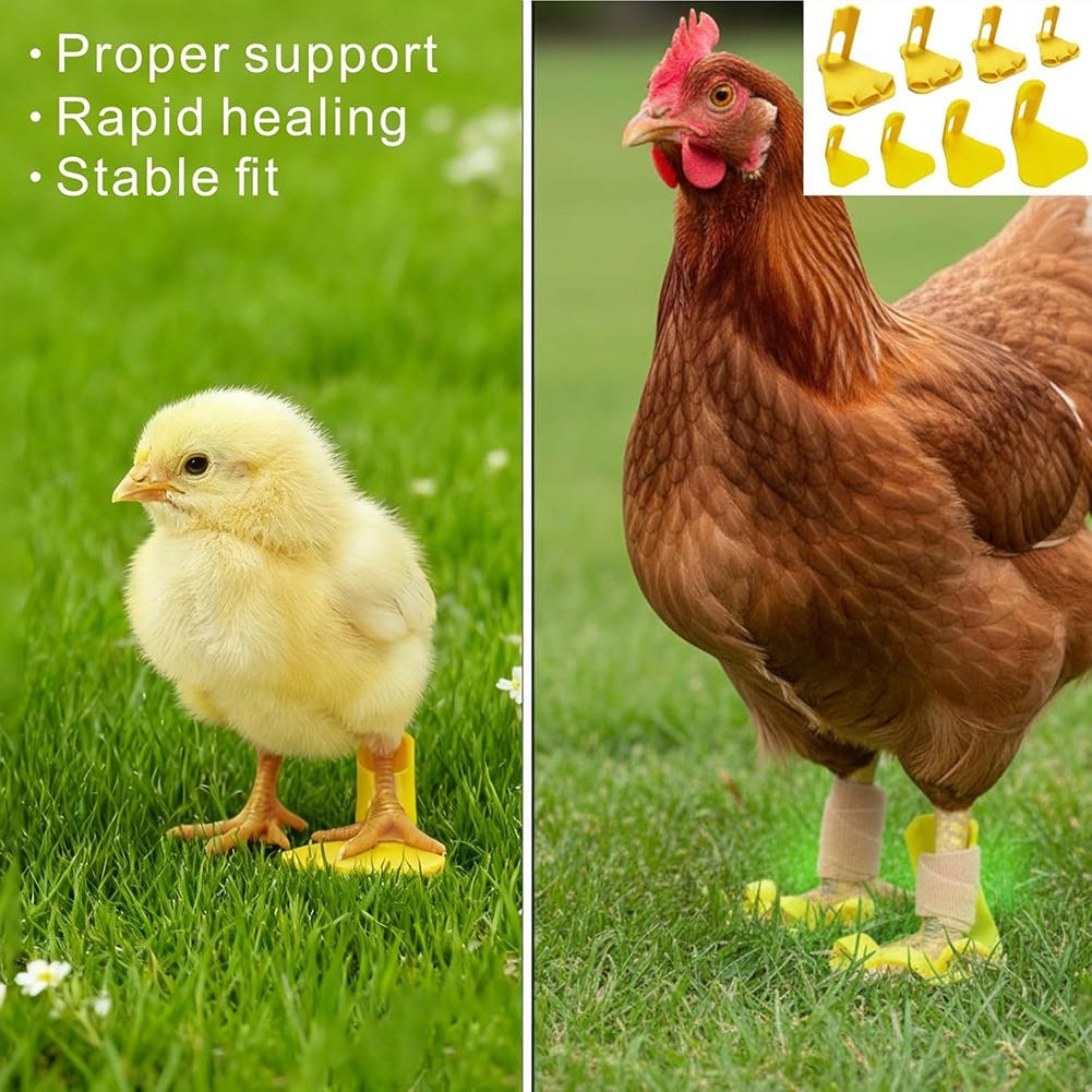 8 PCS Chicken Leg Splint Adjustable Poultry Leg Brace for Treats Broken9221
