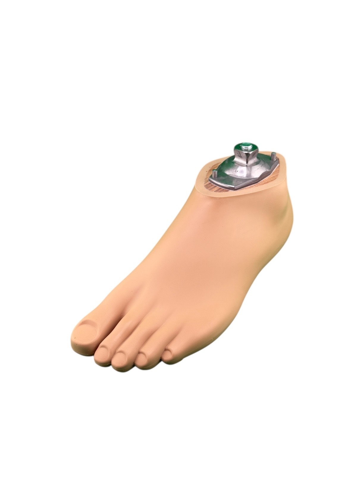 OTTOBOCK Otto Bock 1WR95 left Size 24 water Prosthetic Foot. Perfect cond