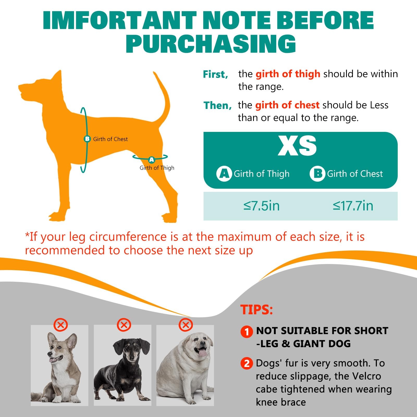 Dog Knee Braces for Torn ACL Hind Leg, Adjustable Joint Brace Non-Slip | Doub…
