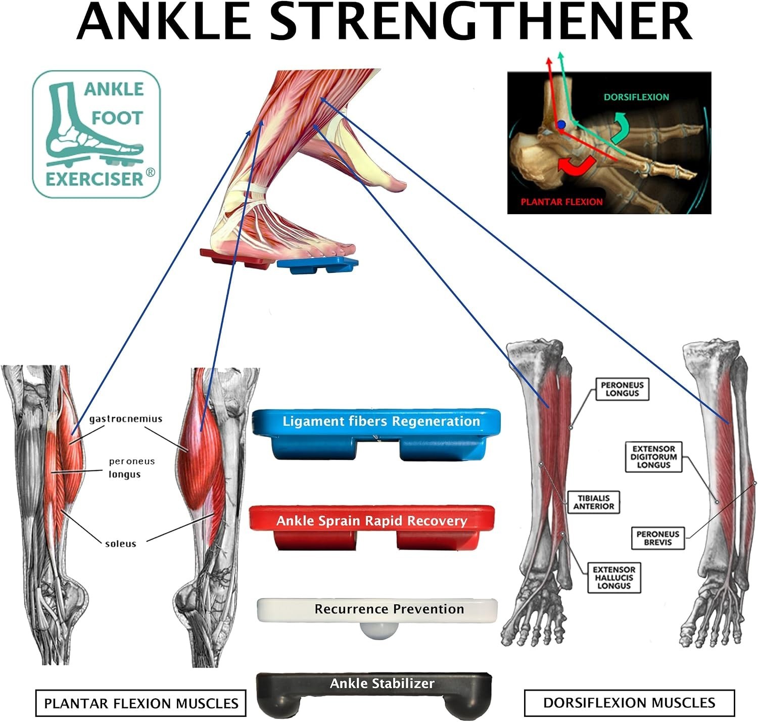 Ankle Foot Exerciser Ankle Strengthener for ankle sprain relief, Foot Strengt…