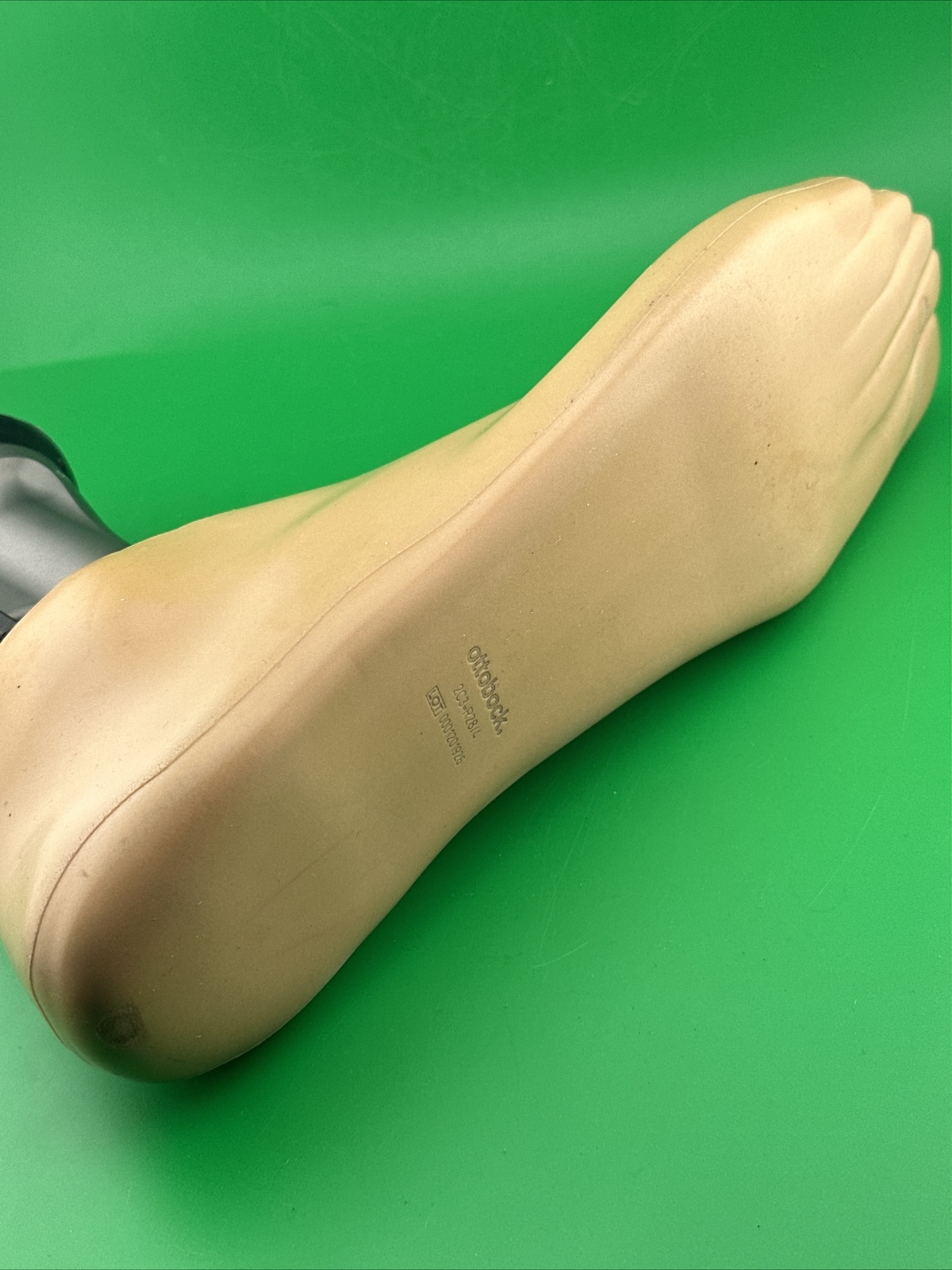 Ottobock Otto Bock Taleo Vertical Prosthetic Foot. 1C51 Prosthetic Foot