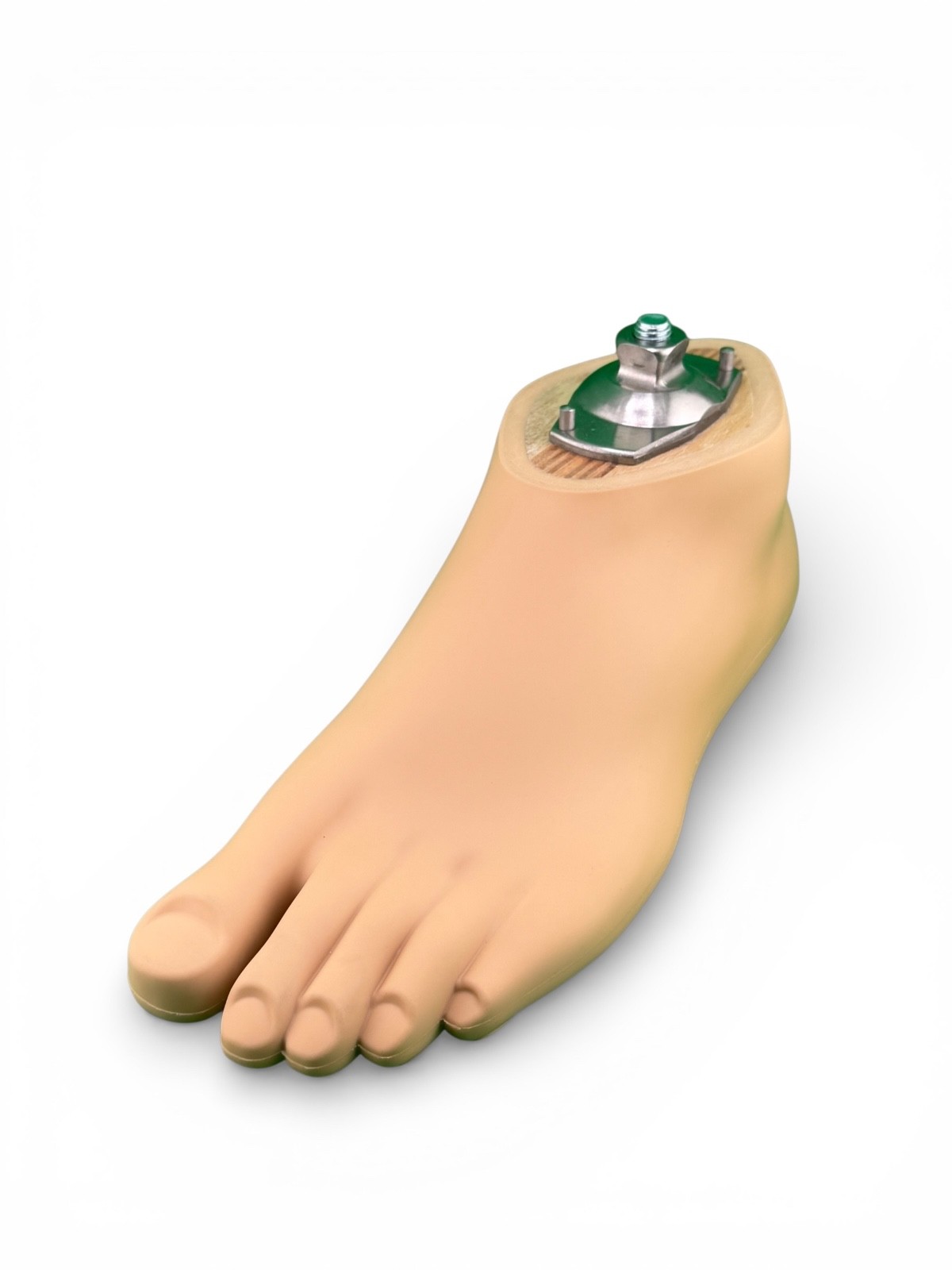 OTTOBOCK Otto Bock 1WR95 Water Prosthetic Foot. Size 26. Left Foot. Excellent