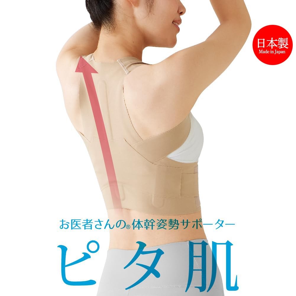 alfax Posture Belt, Core Posture Supporter, Pita Skin, L-LL