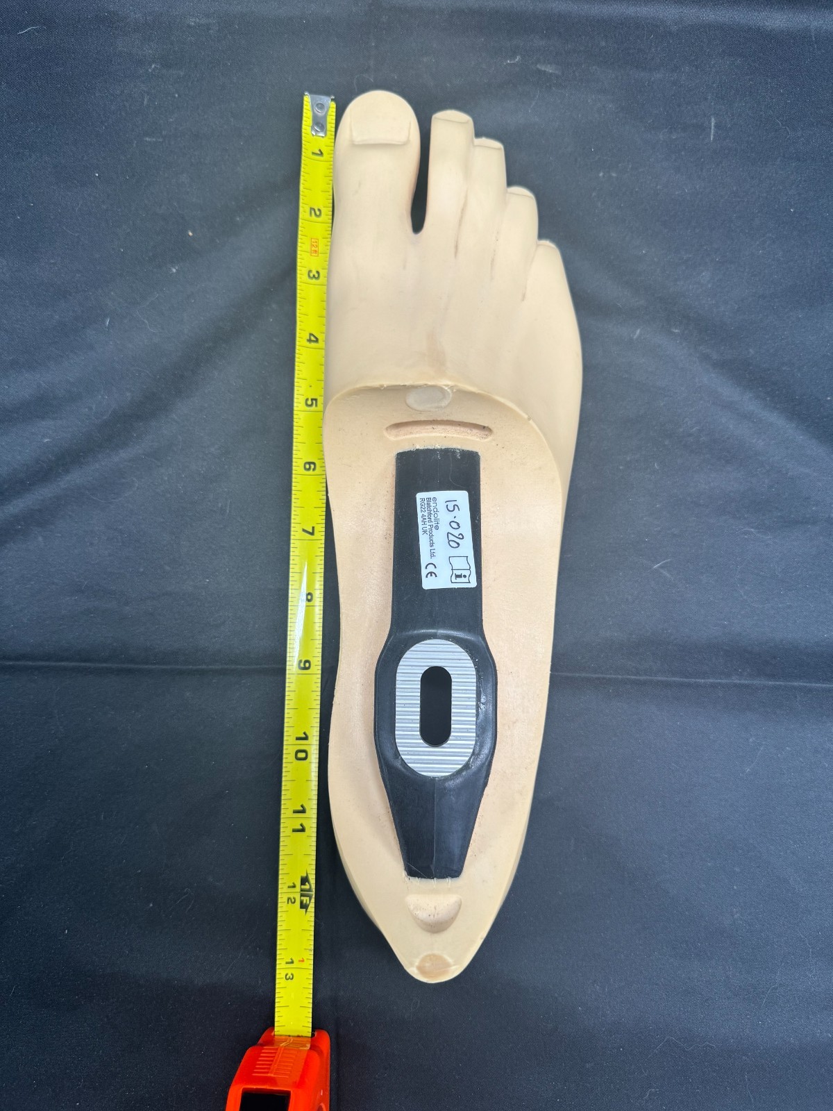 Endolite Blatchford Multiflex Right Size 30 Prosthetic Foot.