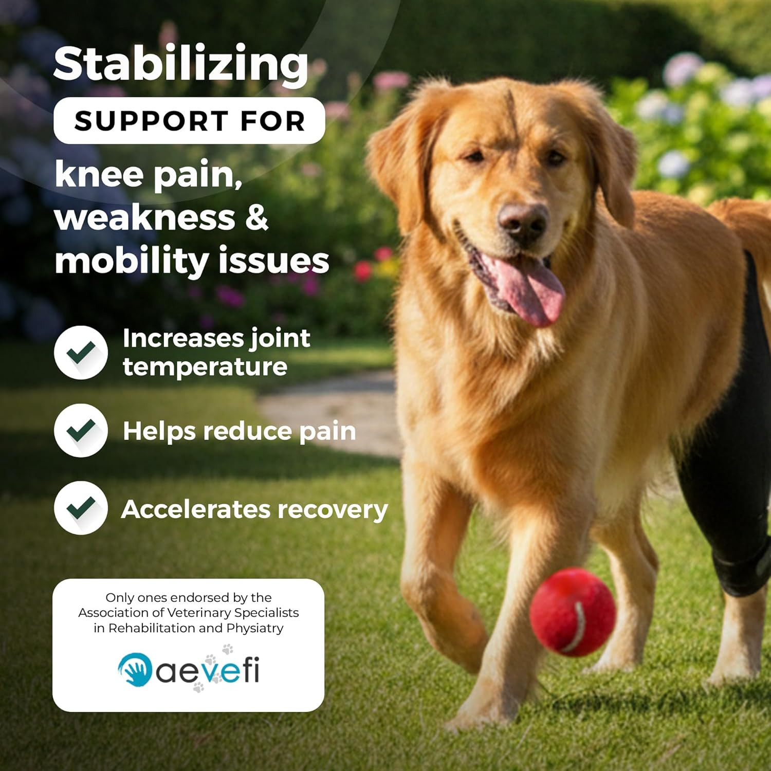 Dog Knee Brace for Hind Leg Support – Flexible Neoprene Knee Brace for Dogs with