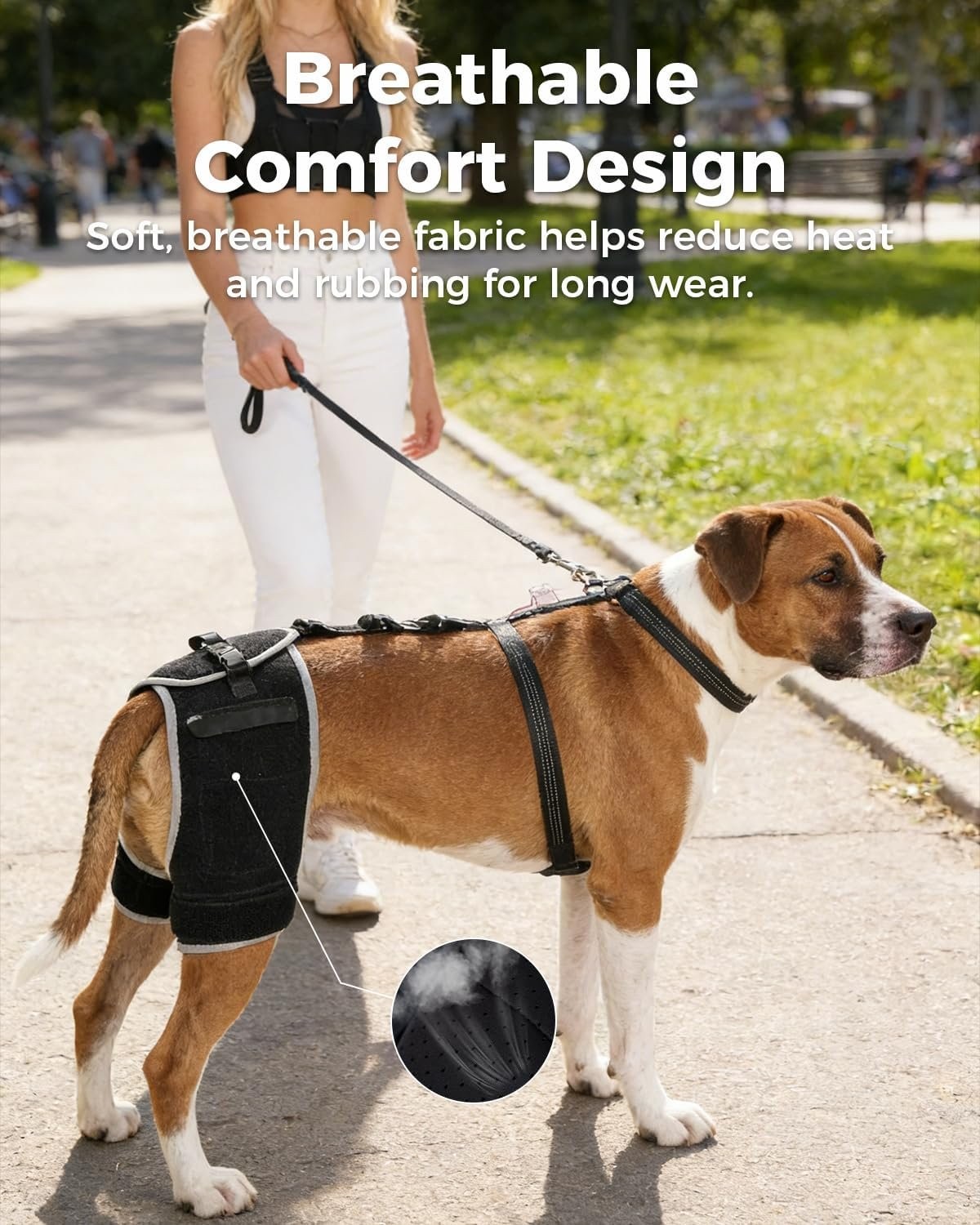 Hip Brace for Dogs with Hot & Cold Therapy, 2 Gel Packs Included-XL | Quick-swap
