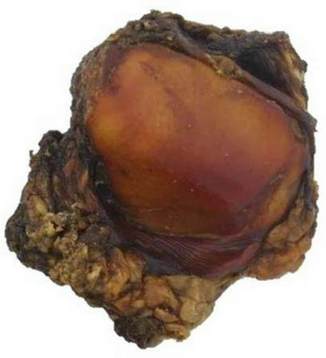 JONES Beef Knee Caps