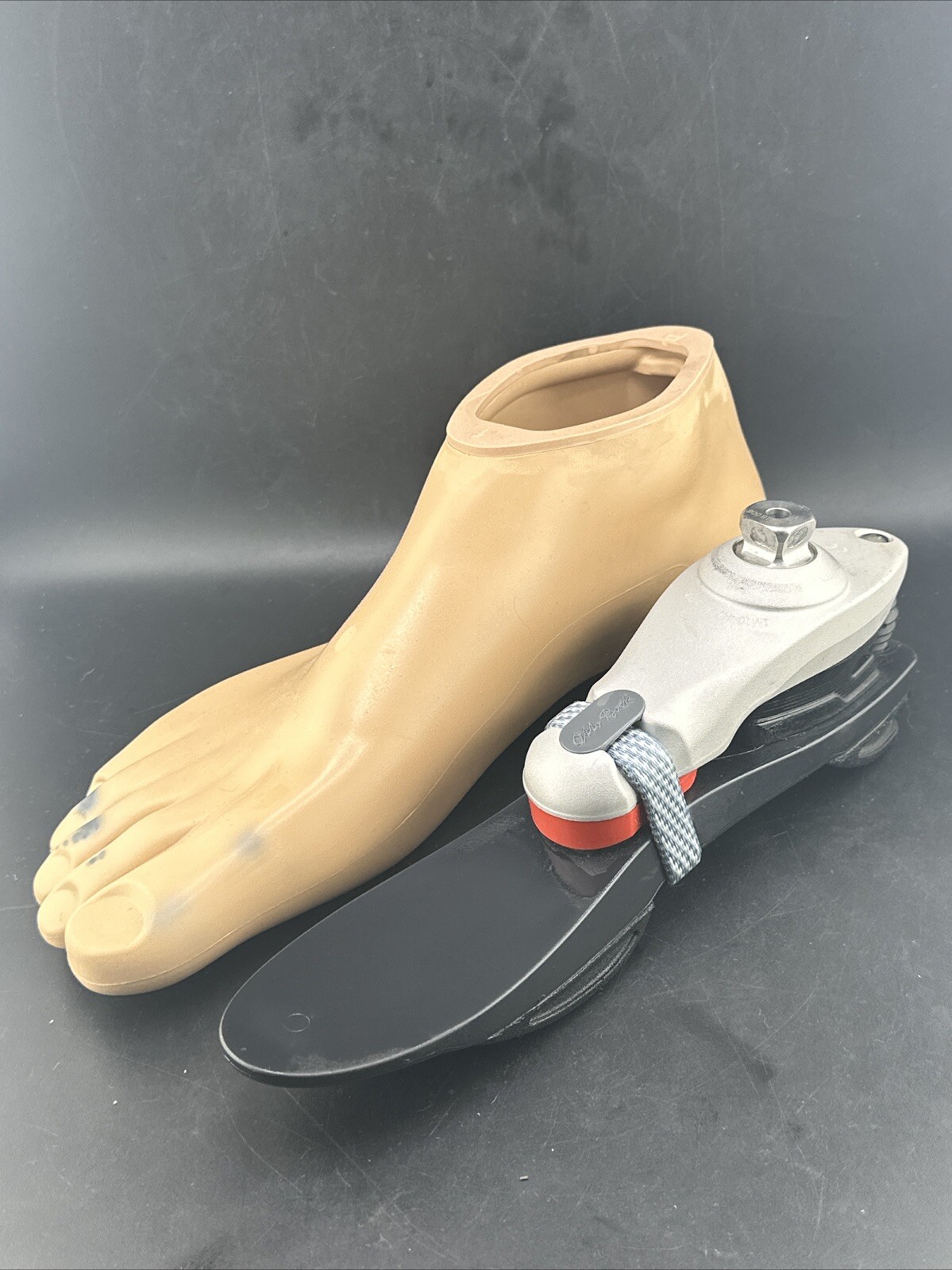 Ottobock Otto Bock 1m10 1m1O Prosthetic Foot Size 28 Category 2 Right Shell