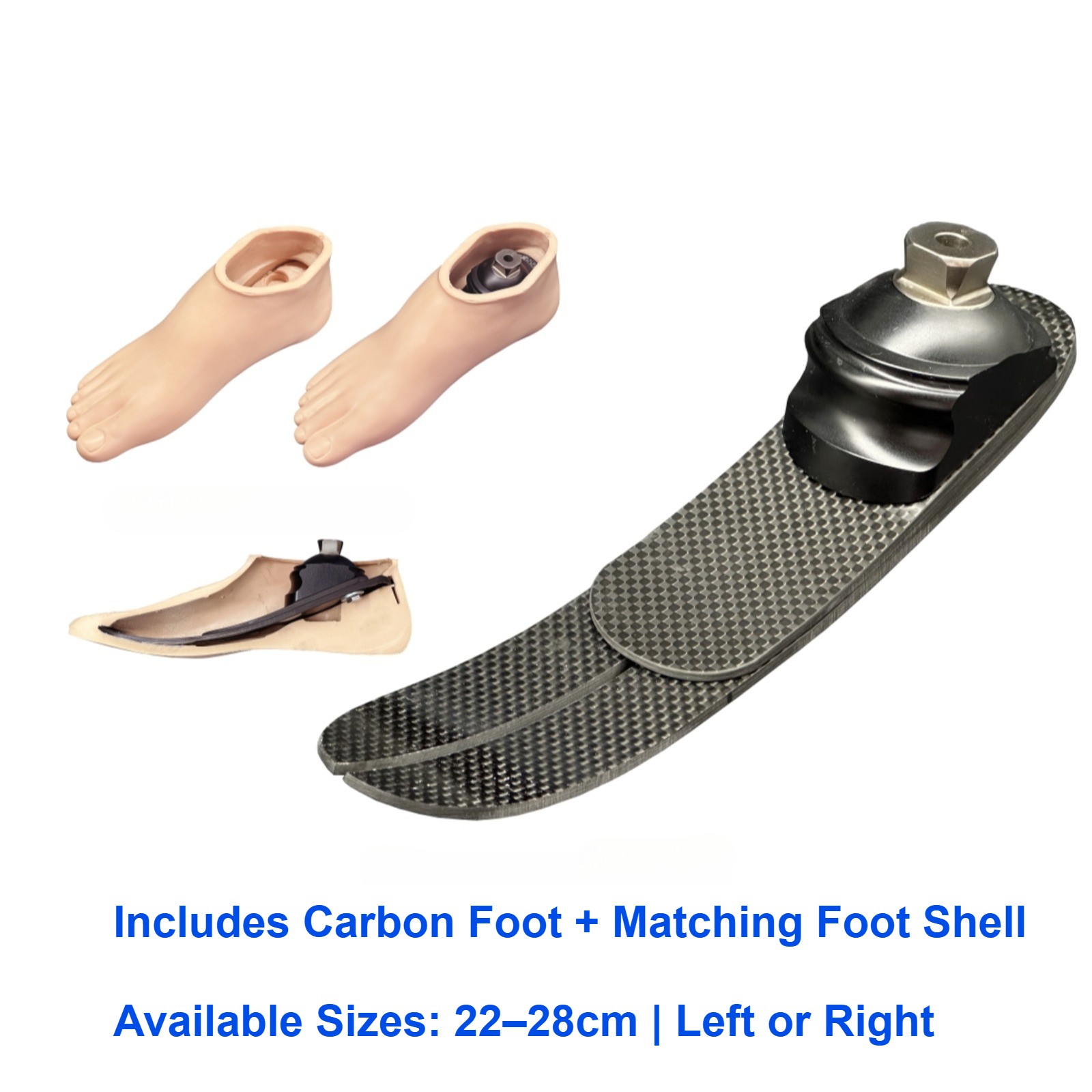 Carbon Fiber Prosthetic Foot with Foot Shell | 22–26cm | Left/Right 70kg Max