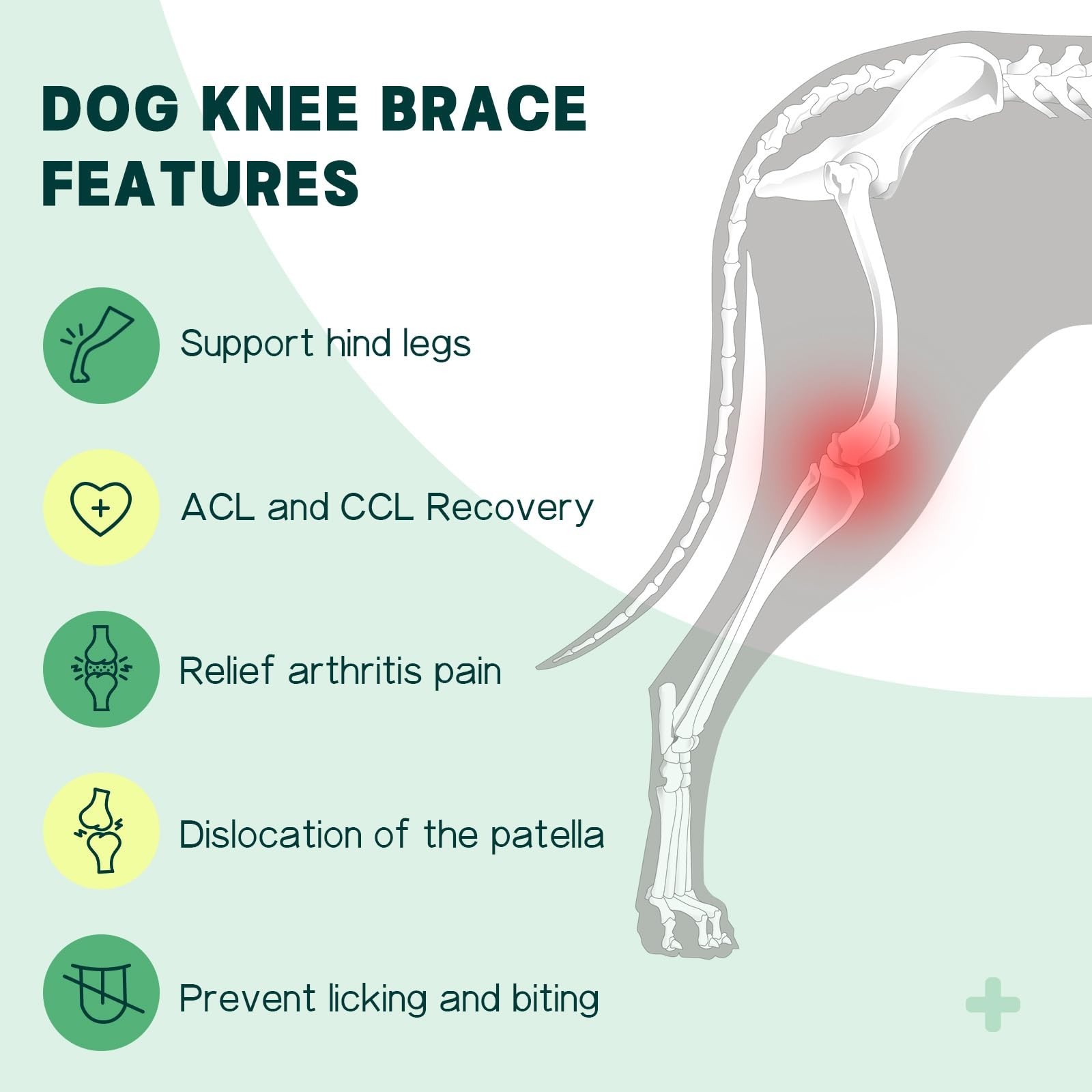 Dog Knee Brace for Torn ACL – Adjustable Support for Hind Leg, Pain Relief, Stab