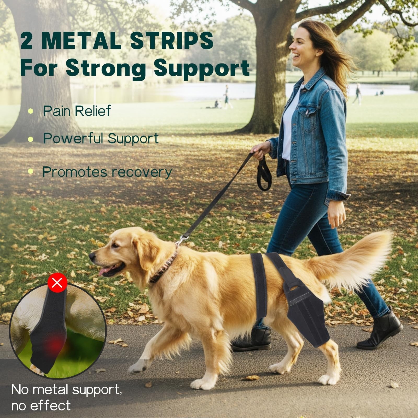 Dog Knee Brace for Torn ACL – Adjustable Support for Hind Leg, Pain Relief, Stab