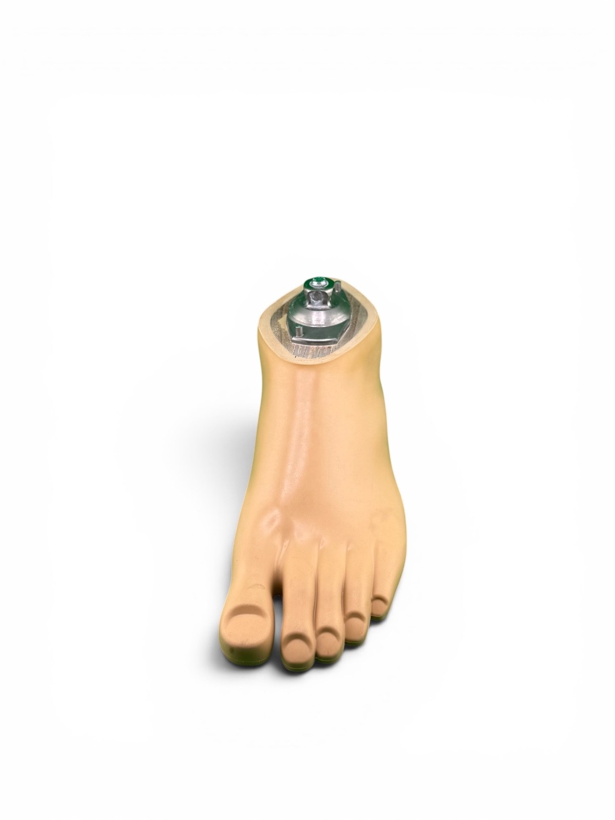 OTTOBOCK Otto Bock 1WR95 Water Prosthetic Foot. Size 26. Left Foot. Excellent