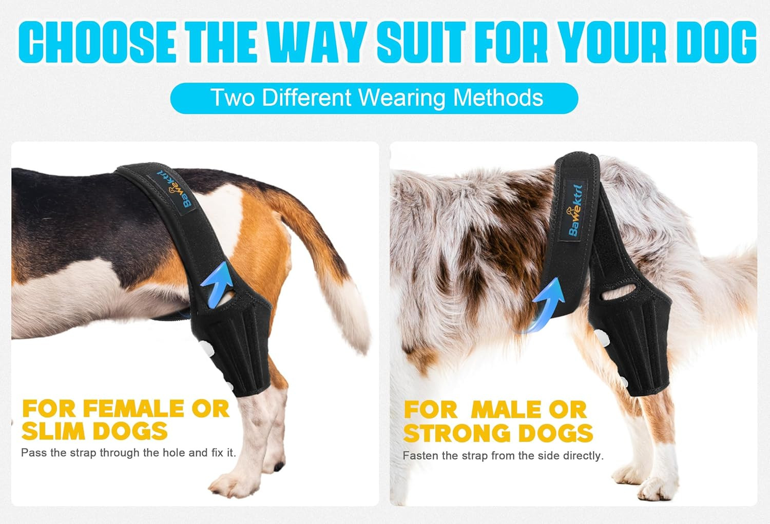 Dog Knee Brace for Back Leg,Cruciate Ligament Care Knee Brace for Dogs Rear Leg,