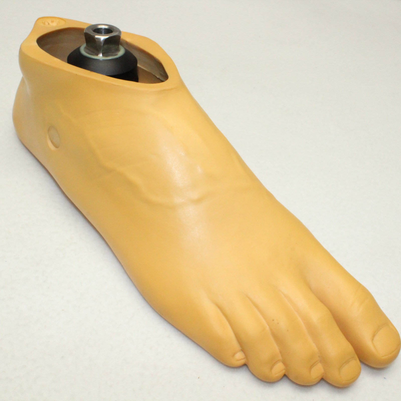 TRULIFE Kinetic A Edge Prosthetic RIGHT Split Toe Foot Pyramidal Adapter ~ Sz 28