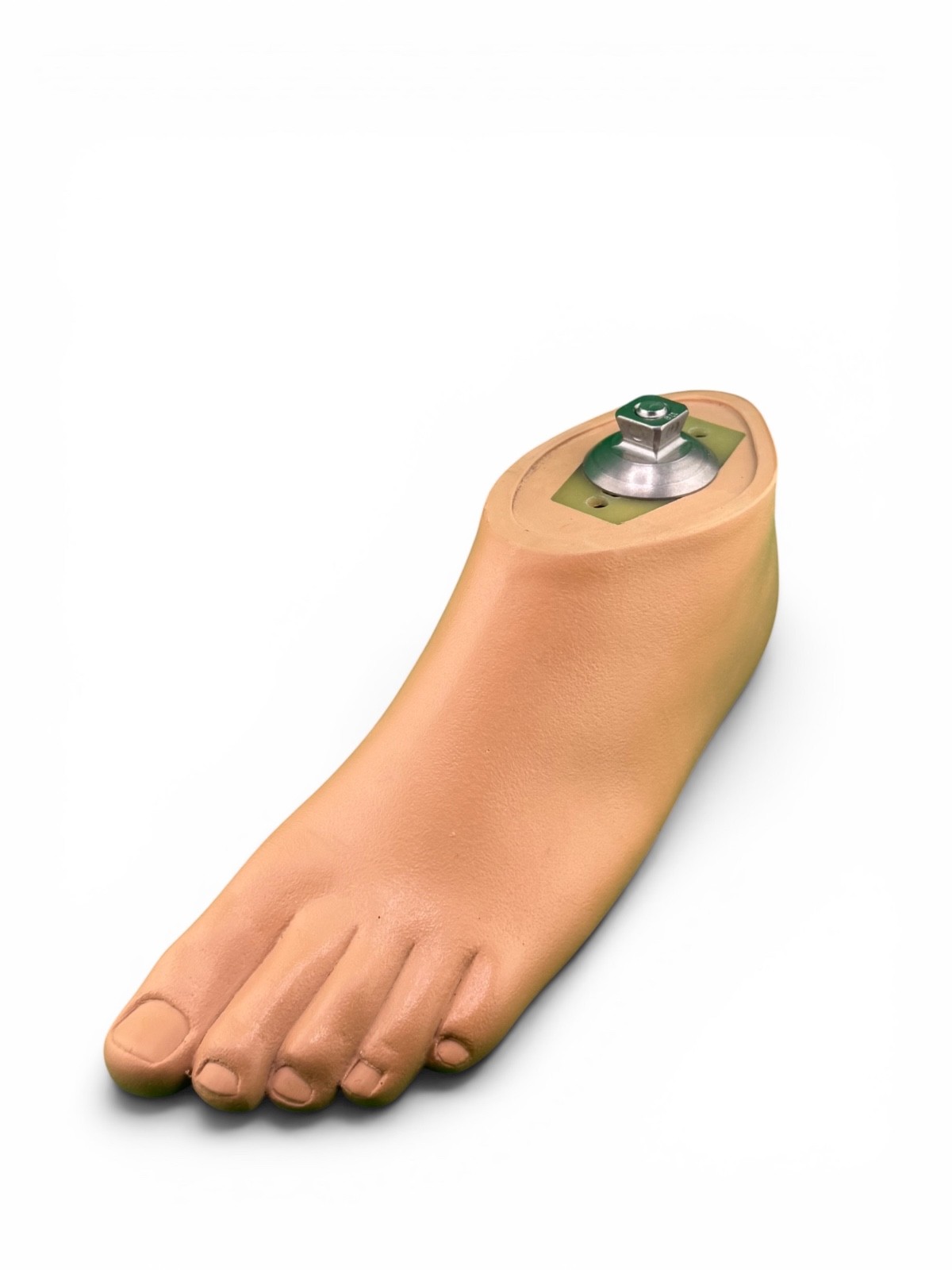 Ohio willowwood willow wood sach prosthetic foot. Left. Size 27