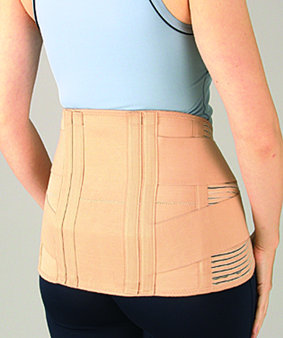 Centron Lumbar Support with Stainless Steel Dorsal and Lateral Stays (LUS10ABN)