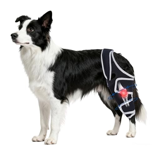 Dog Knee Brace for Torn Acl Hind Leg,Adjustable Four-Legged Universal Dog Knee