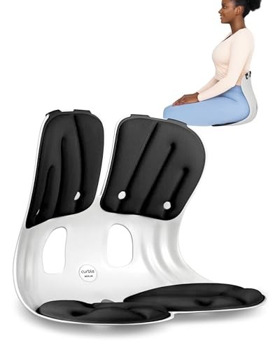 Extra Wide Ergonomic Chair Back Support – Lumbar Support for Posture & Pain Reli