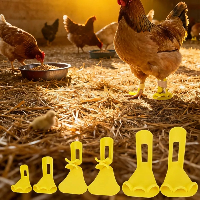 4Pcs Adjustable Chicken Duck Leg Splint Reusable Lightweight Duck Leg Splint wit
