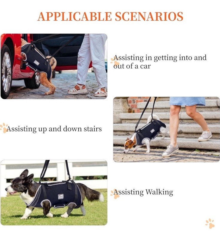 Furtent Dog Lift Harness with Handle – Dog Support Harness Large