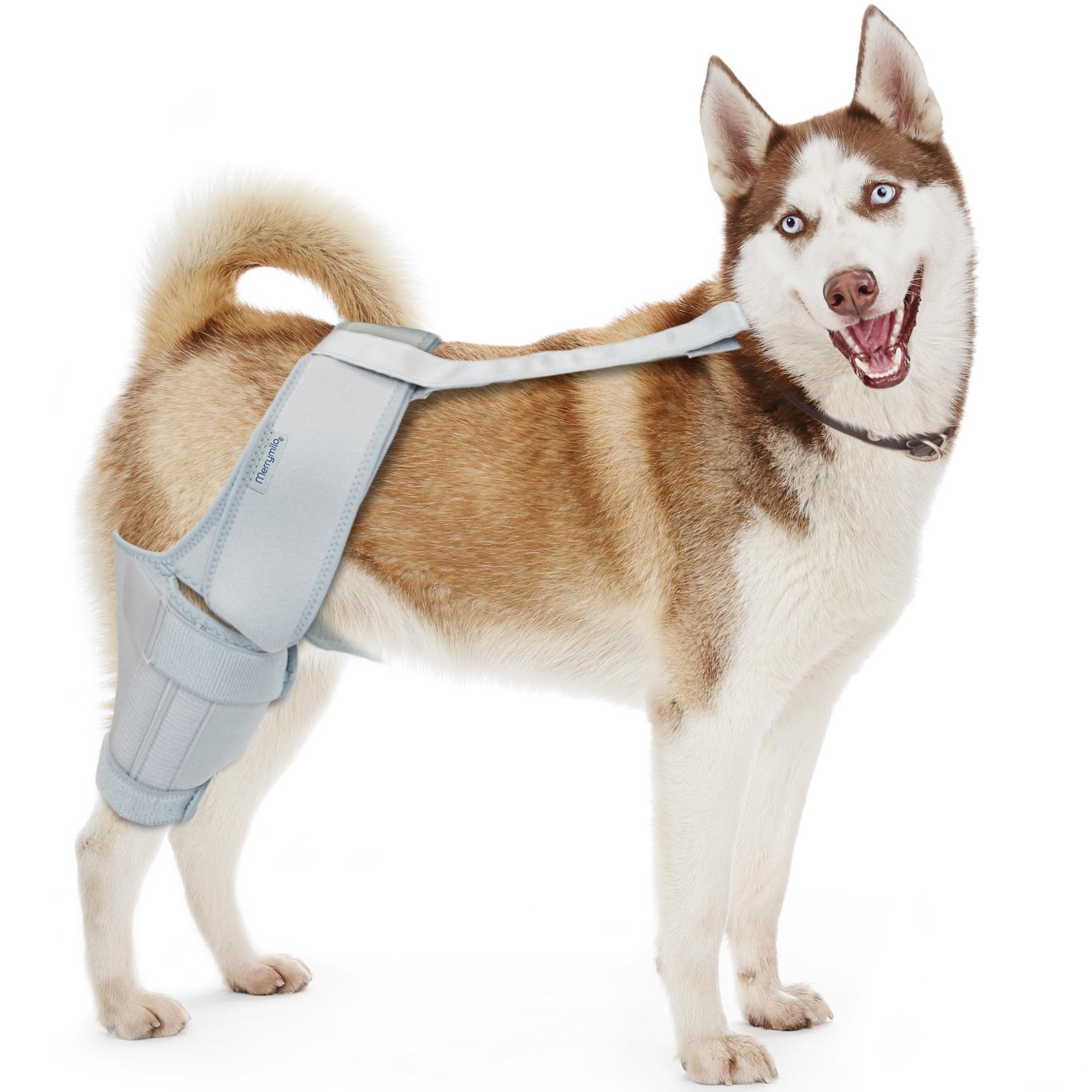 MERRYMILO DOG KNEE BRACE,ACL,CCL,CRUCIATE LIGAMENT, SIZE: S – SILVER