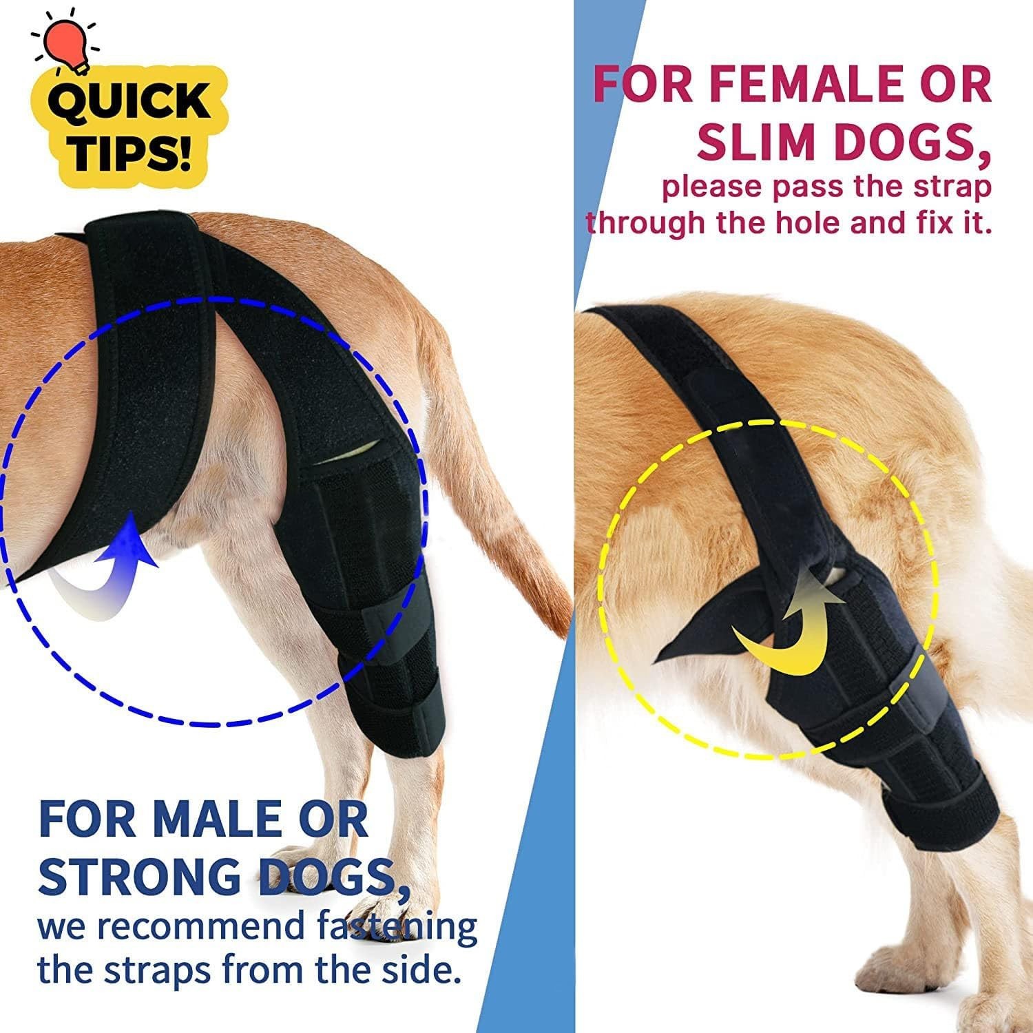 Dog Knee Brace for Torn ACL Hind Leg, & Rear Leg Knee Support [Size L]