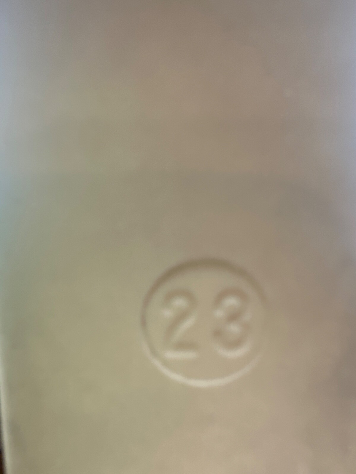 Blatchford endolite prosthetic footshell foot shell. Right shell. Sz 23