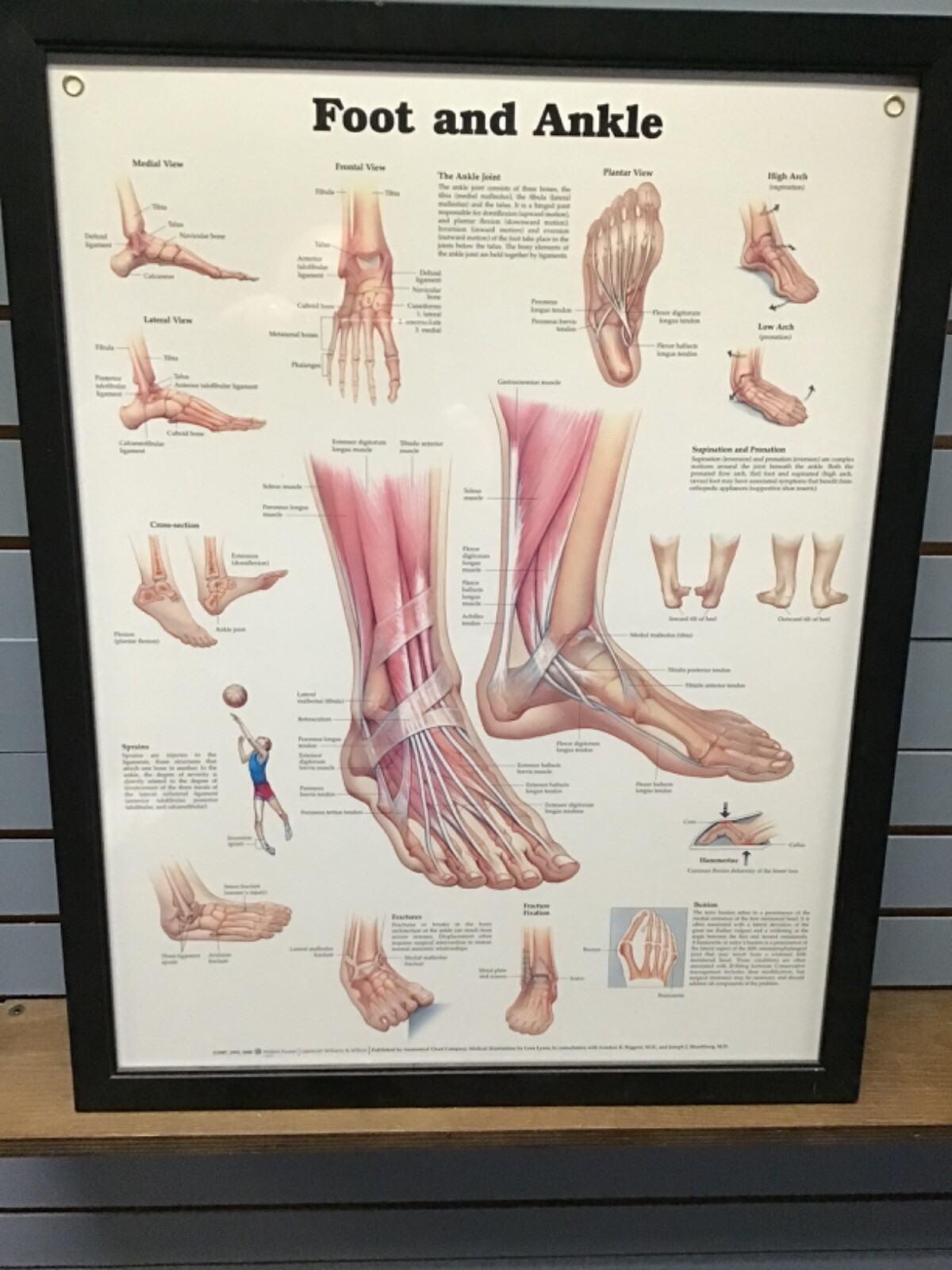 medical office foot and ankle sign