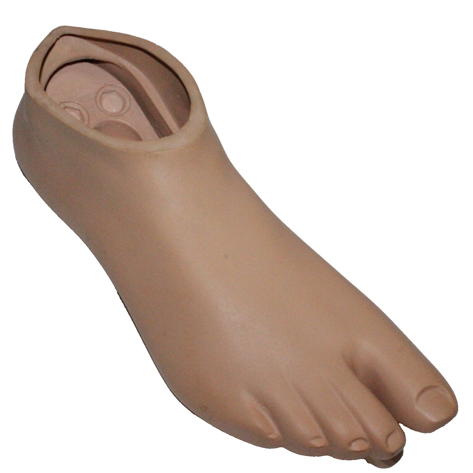 MINT COLLEGE PARK CPI BREEZE RIGHT SANDALTOE PROSTHETIC FOOT SHELL DRAIN ~ Sz 25