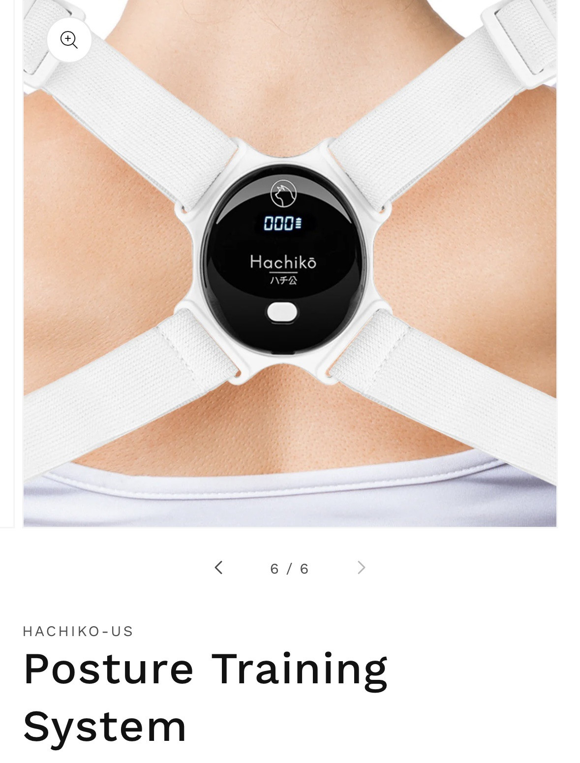 Hachikō Perfect Posture Training System Never Used (SOLD OUT ON MAIN SITE @ $60)
