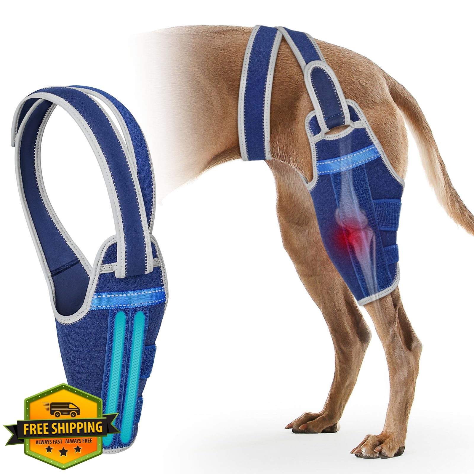 GoGoPaw Dog Knee Brace Left Leg XL