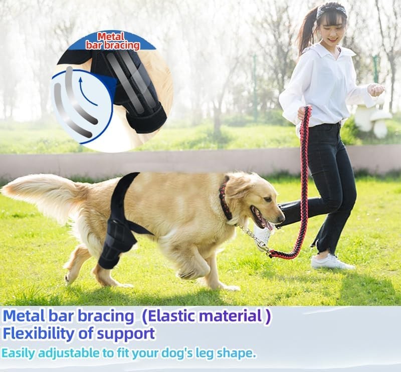 Dog Knee Brace for Torn ACL Hind Leg, & Rear Leg Knee Support [Size L]