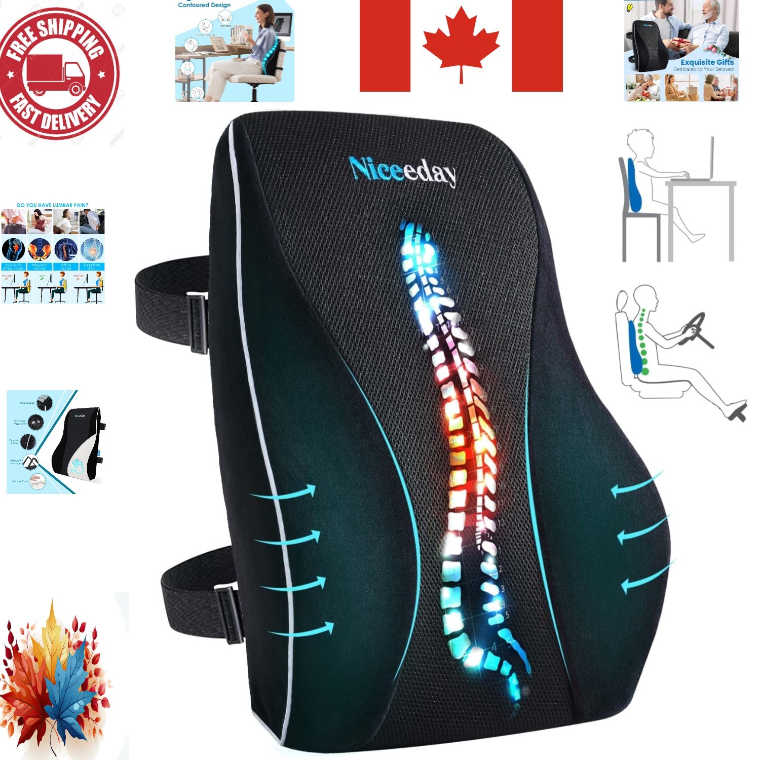 Versatile Lumbar Support Pillow for All Seating – Breathable Mesh & Wedge Design